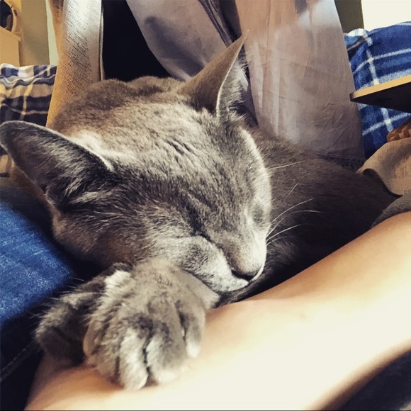 Meet your Posher, Kat - Picture 2 of 2